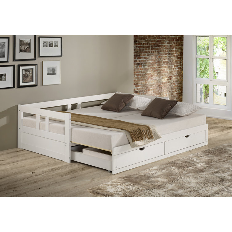 Harriet Bee Bechtold Twin Daybed with Trundle & Reviews Wayfair